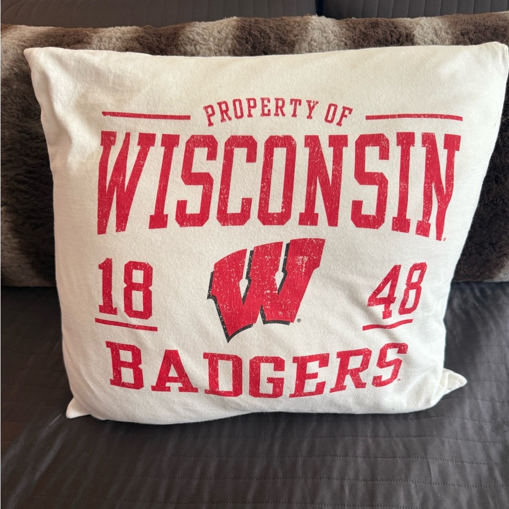 University of Wisconsin pillow